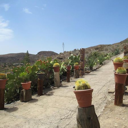 Vivelorural Casa En Valle De Chira Con Piscina San Bartolomé المظهر الخارجي الصورة