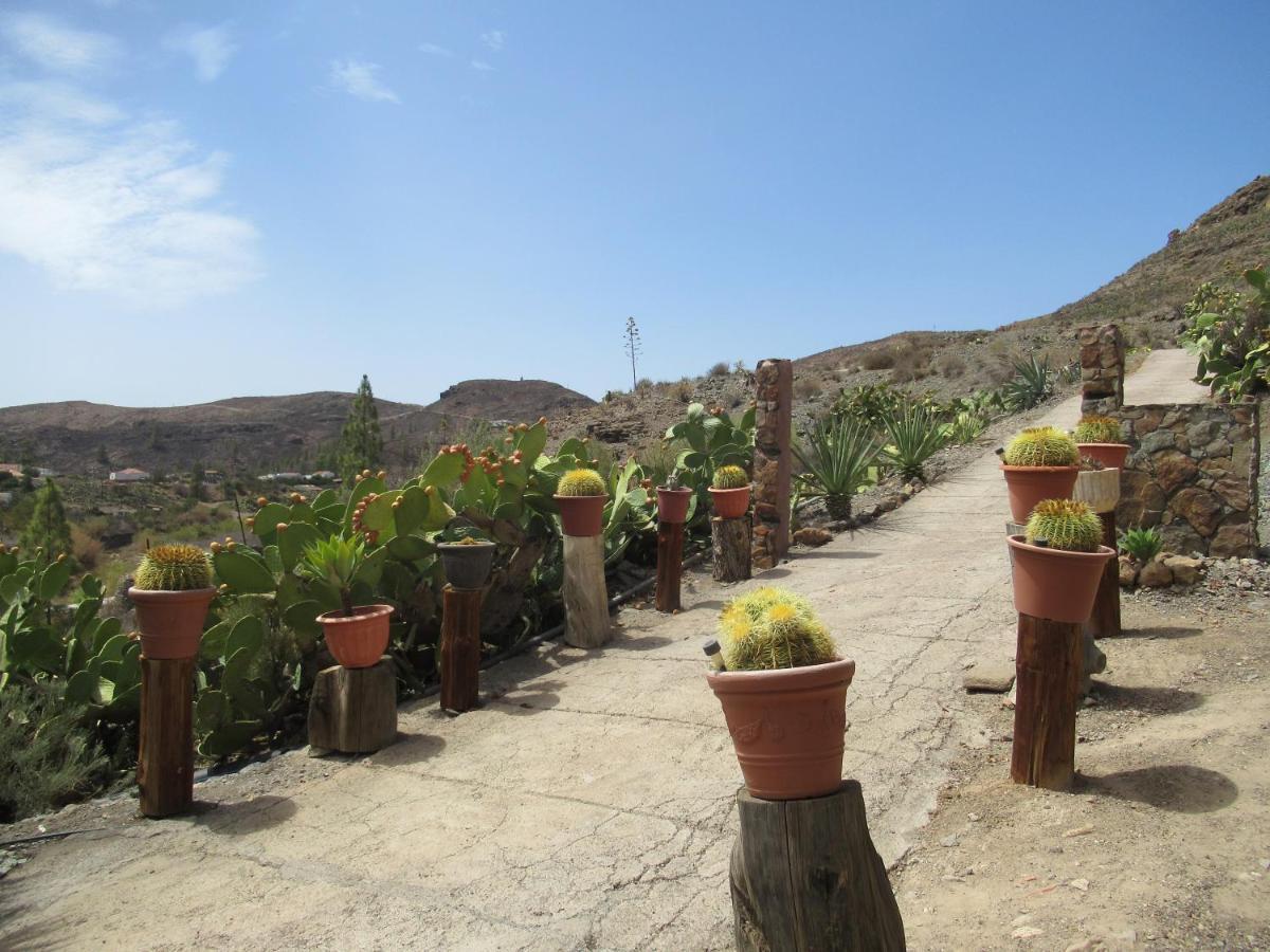 Vivelorural Casa En Valle De Chira Con Piscina San Bartolomé المظهر الخارجي الصورة